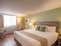 Stanza Hotel Hotels near Doctores