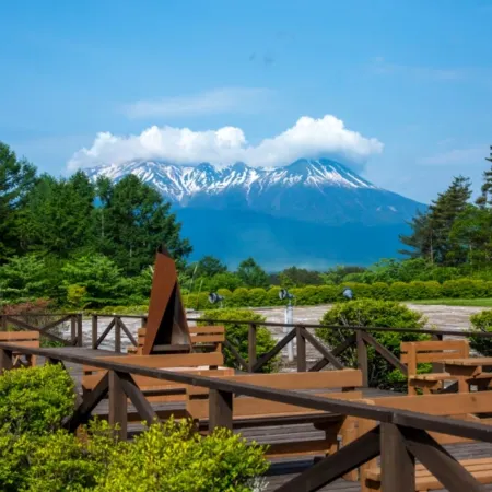 Tsutaya Tokinoyado Kazari