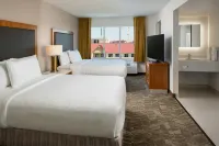 SpringHill Suites Orlando Convention Center/International Drive Area - piscine
