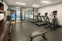 Fairfield Inn & Suites Edmonton North - Spor Salonu