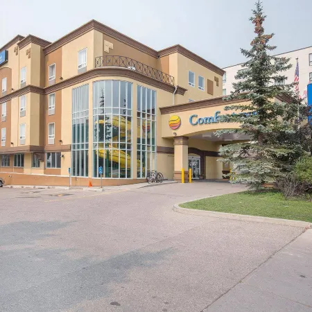Comfort Inn & Suites University