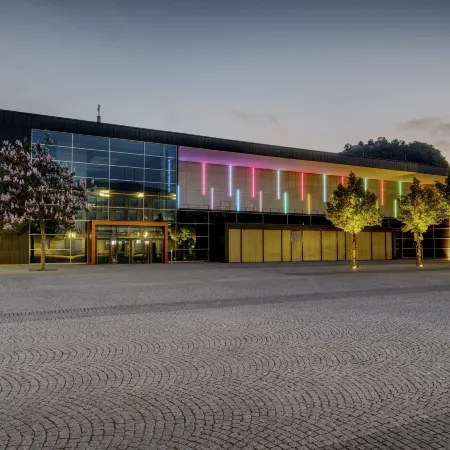Holiday Inn Express SINGEN by IHG