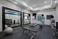Hampton Inn & Suites Dallas-DeSoto - gimnasio