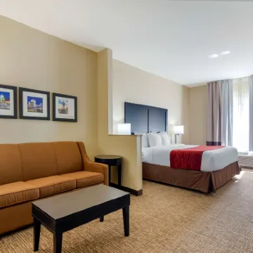 Comfort Inn & Suites Montgomery Eastchase Отели рядом с достопримечательностью «Университет Амридж»