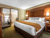 Comfort Suites Madison West Hotéis em Madison