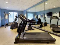 Holiday Inn Express & Suites ARCADIA by IHG Hotels in DeSoto County