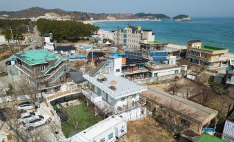 Goseong (Sokcho) Tree and Sun Pension