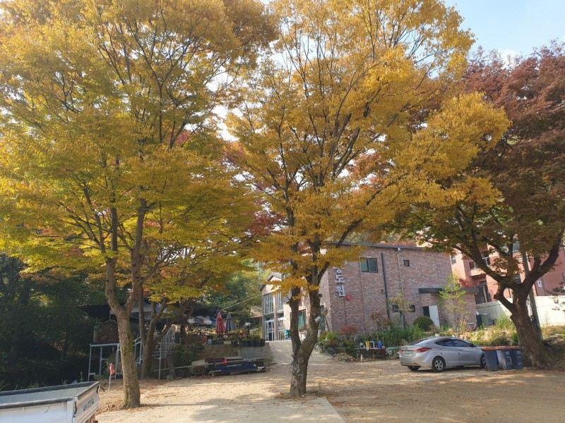 3. 광주 무릉도원펜..