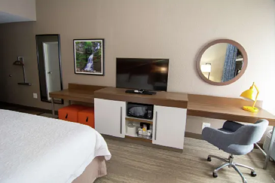 希爾頓歡朋酒店-薩默斯維爾