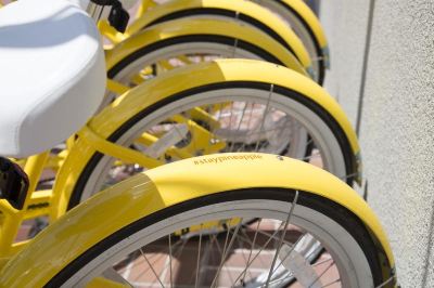 その他 ホテル Z - ア ピース オブ パイナップル ホスピタリティの写真