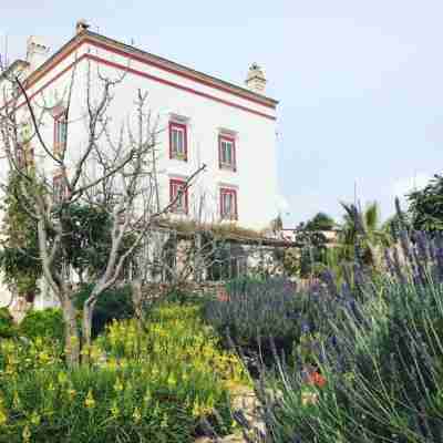 Masseria Montenapoleone Hotel Exterior