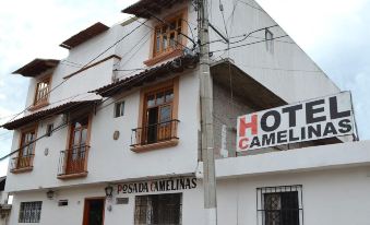 Hotel Posada Camelinas