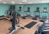 Holiday Inn Express & Suites WARRENSBURG NORTH by IHG - Gym