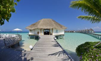 a small hut on stilts in the middle of a body of water , surrounded by palm trees at Safari Island