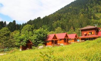 Ayder Selale Dag Evi