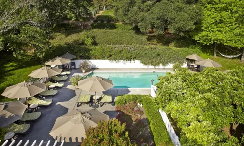 The Madrona