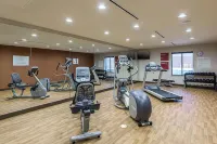 Comfort Suites Kyle - Kuntosalit