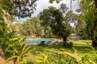 Granpa's Inn Hotel Bougainvillea - Pools