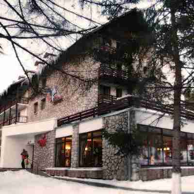 Ana Hotels Bradul Poiana Brasov Hotel Exterior