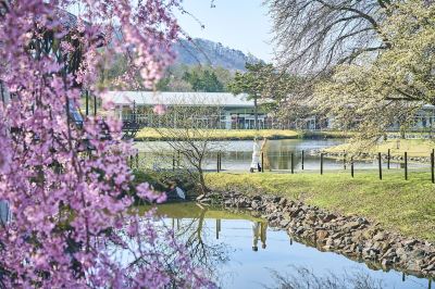 ホテル周辺 軽井沢プリンスホテル ウエストの写真