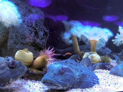 その他 ホテルコード心斎橋の写真