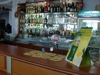 Family Hotel Evridika - bar