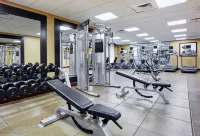 Hilton Garden Inn Rockville-Gaithersburg - bar