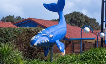 Blue Whale Motor Inn & Apartments