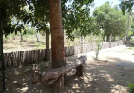 딜라이트 게스트하우스 & 레스토랑