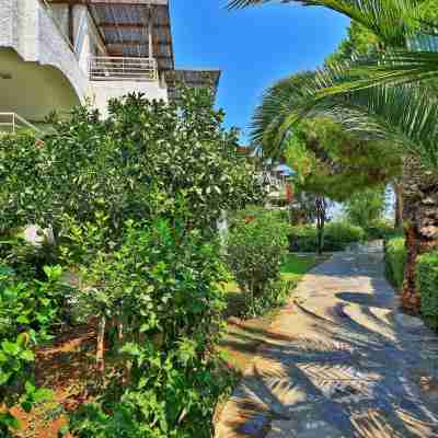 Apollonia Beach Resort & Spa Hotel Exterior