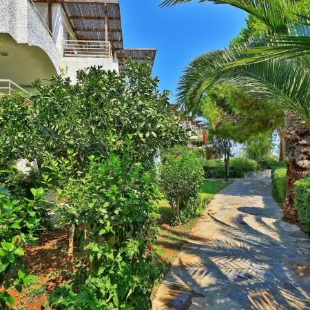Apollonia Beach Resort & Spa Отели рядом с достопримечательностью «Пляж Амудара»