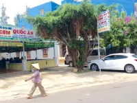 Quoc An Hotel Hotels in Phước Tỉnh