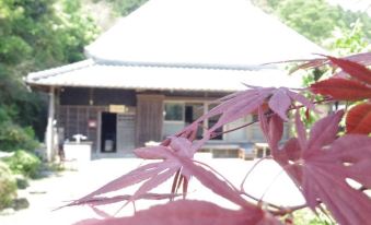 a wooden house surrounded by trees and bushes , with a pink leaf on the tree at Saraya