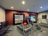 Hampton Inn & Suites Athens/I-65 (Huntsville Area) - Gym