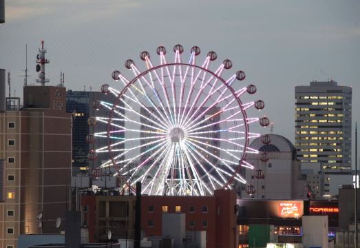 베셀 인 삿포로 나카지마 파크 로비