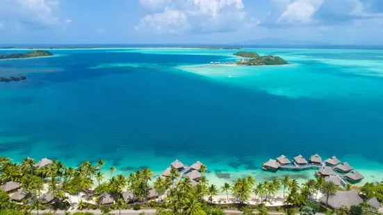 Maitai Bora Bora