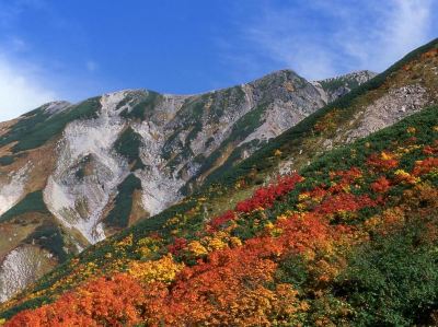 ホテル周辺 やまなか館の写真