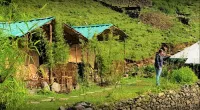 Chopta PeaceTrips Resort Hotels near Panar Bugyal