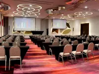 HS Hotsson Hotel Irapuato - Wifi