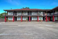 Zebra Motel