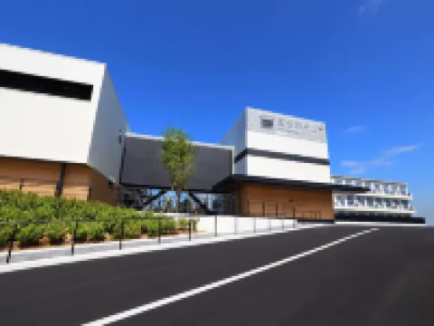 海茵娜度假村及水療中心 關西機場 泉佐野市酒店