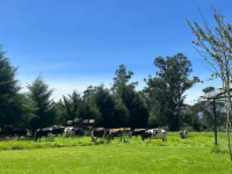 Grandfather´s Farm - Disfruta de la Naturaleza en un Lindo Flat.