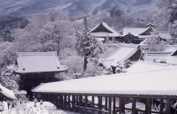 最靠近長谷寺的旅館 大和屋觀光旅館