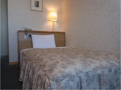 Azumino Park Hotel Hotel in zona JR Ariake station