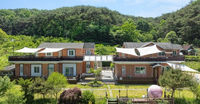 애견 운동장 전경