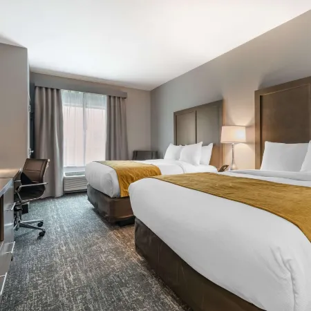 Comfort Inn & Suites Jacksonville - Orange Park Near Naval Air Station