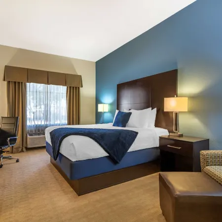 Best Western Plus Lytle Inn Suites
