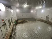 Showa Onsen Ryokan Sumire Hotels in Owani