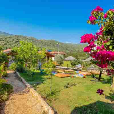 Kaş Joy Glamping Hotel Exterior