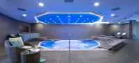 Dorint Hotel Dresden - Kolam Renang